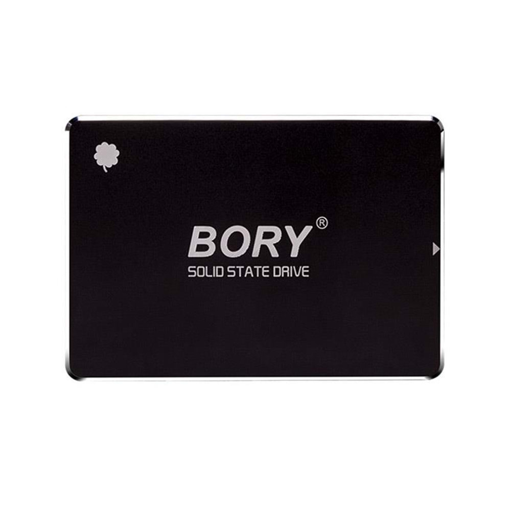 Bory 128GB SATA3 R500-C128G SSD Hard Disk 550/510 MBS (3 Yıl Garantili)